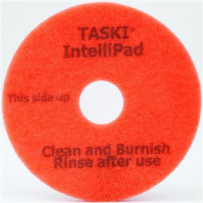 TASKI Disque IntelliPad 2pc - 14" / 36 cm - Disque 2 en 1